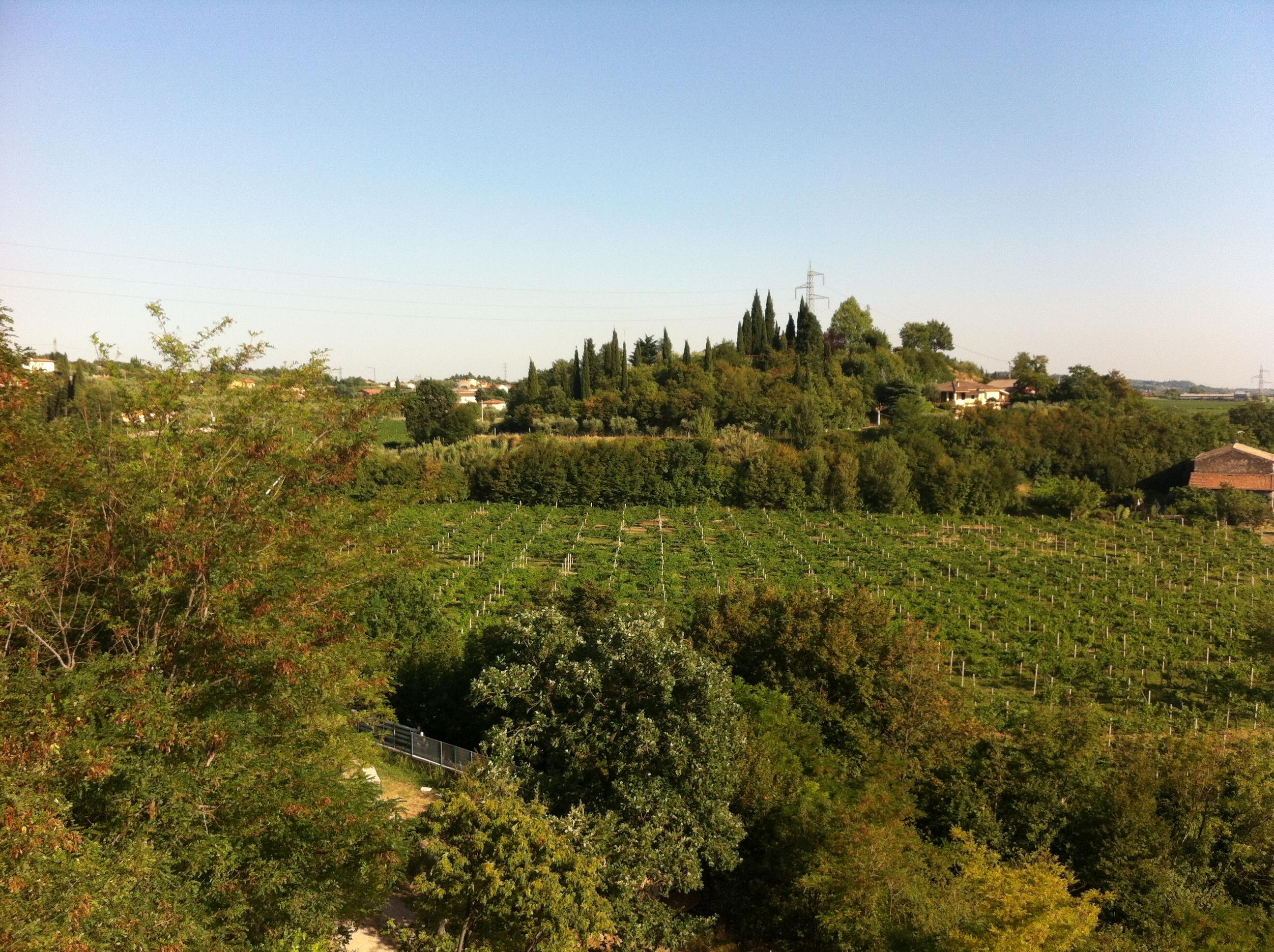 Eurocongressi Hotel Cavaion Veronese Bagian luar foto